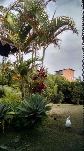 Villa Finca San Fernando