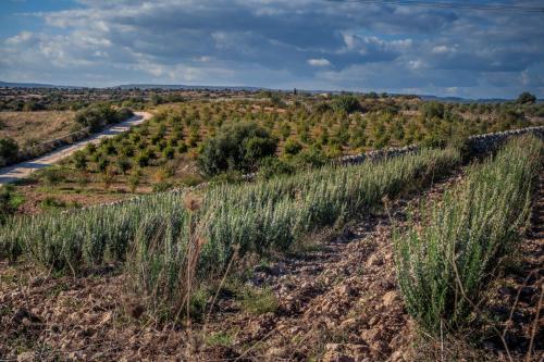 Agroturismo La Mela Di Venere