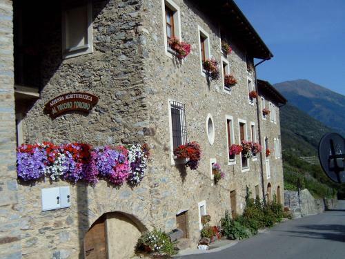 Agroturismo Agriturismo Il Vecchio Torchio