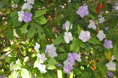 Hostal Inkosi Eco Lodge