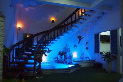 Gecko Hostel