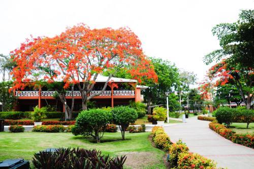 Apartamento Gusto Tropical Dependance