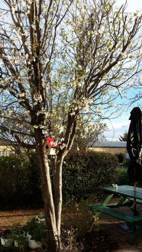 Bed & Breakfast Sorell Barracks