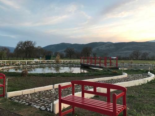 Bed & Breakfast Ca' Del Conte Agrihouse