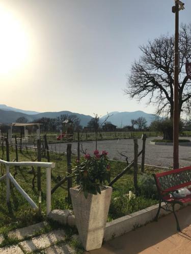 Bed & Breakfast Ca' Del Conte Agrihouse