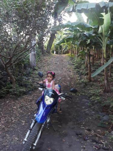 Agroturismo Bananas Guest House