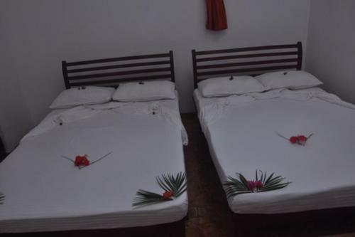 Lodge Ciigiri Splendour