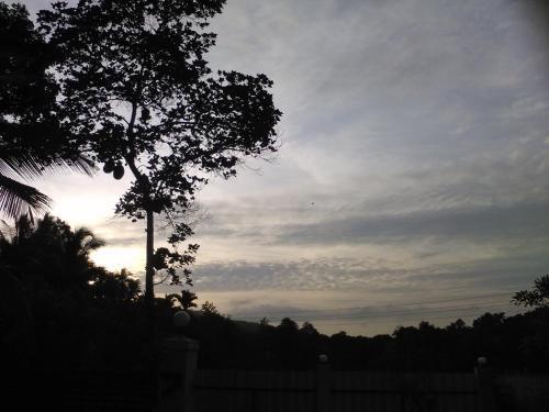The Breeze Pinnawala Homestay