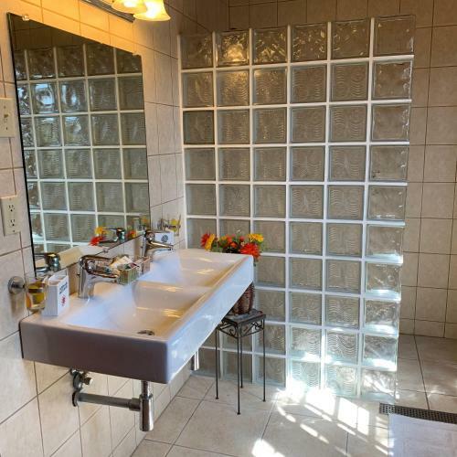 A Beautiful Aruba Salina Cerca Villa