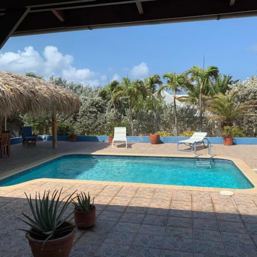 A Beautiful Aruba Salina Cerca Villa