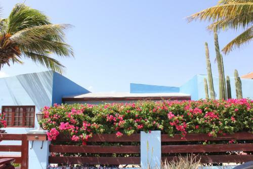 A Beautiful Aruba Salina Cerca Villa