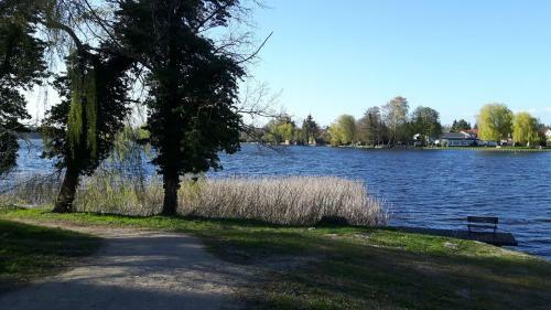 Ferienhaus Am Klostersee