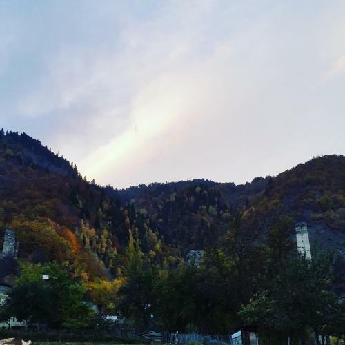 Hostal Lagami House
