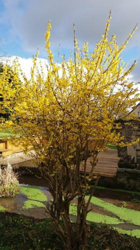Hostal Moulin De Benneville