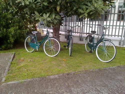 Apartamento Residence Viale Venezia