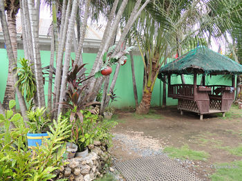 Hotel Resort Cebu