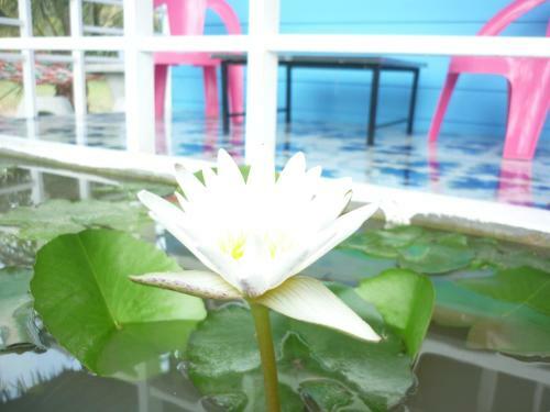Agroturismo Maneemudjalin Resorts Farm Stay
