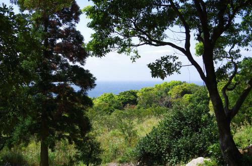 Guest House Views