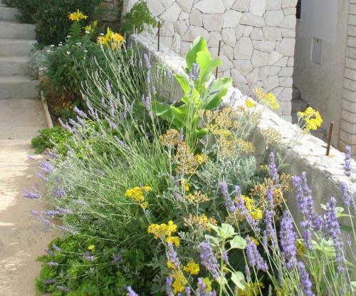 Hostal Studio Lokva Rogoznica 2759b