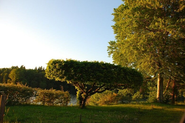 Les Roulottes Du Bazois