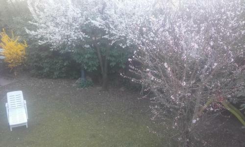 Apartamento Appartamento Giardino Verde