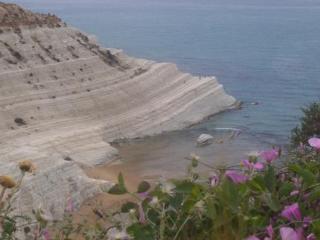 B&B Tra I Frutti