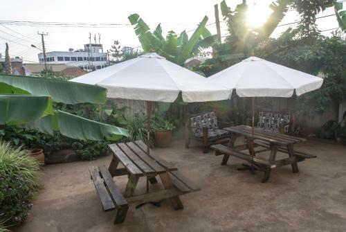 Albergue Fat Cat Backpackers