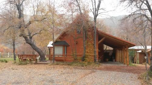 Caba�as Tronco Mayen