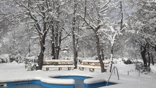 Caba�as Tronco Mayen