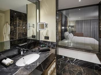 Pullman Istanbul Airport And Convention Center Hotel