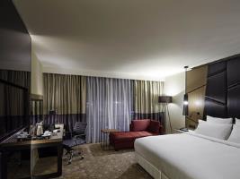 Pullman Istanbul Airport And Convention Center Hotel