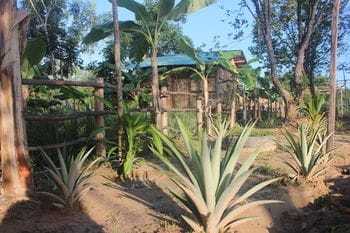 Posada Pepper Farm Phu Quoc Bungalow