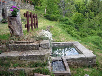 Agroturismo Borgo Tramonte