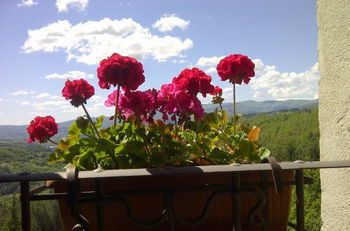 Agroturismo Borgo Tramonte