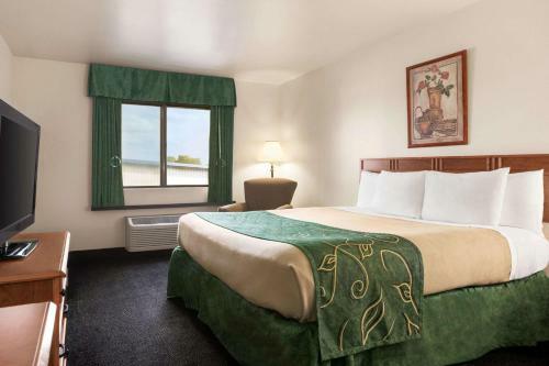 Hotel Baymont By Wyndham Buffalo