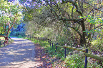 Apartamento Alkantmooi Private Nature Reserve