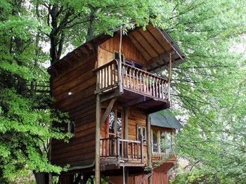 Hotel Sycamore Avenue Treehouses