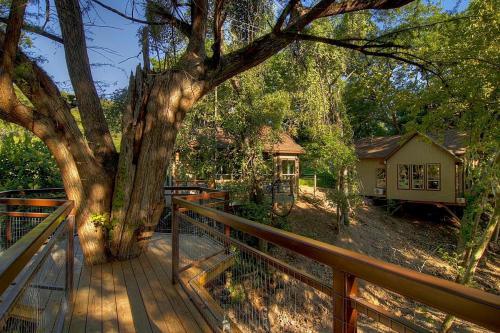 Robins Roost