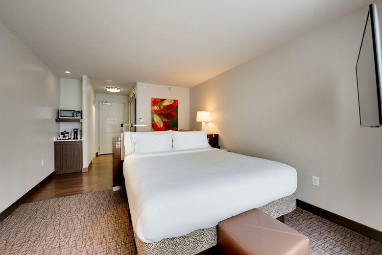 Hotel Hilton Garden Inn Houston/spring/i-45n, Tx