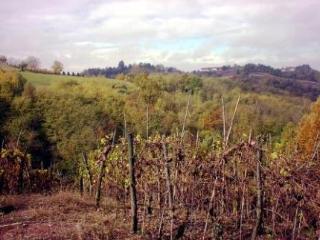 Bed & Breakfast Cascina Bella Vista