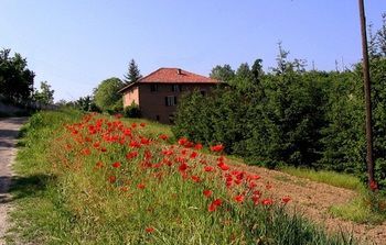 Bed & Breakfast Cascina Bella Vista