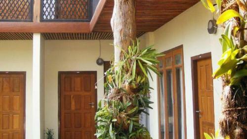 Posada Three Seasons Inn & Spa