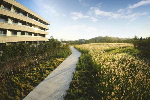 Hidden Cliff Hotel And Nature