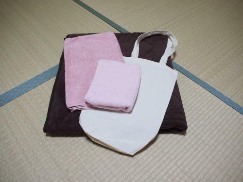 Hostal Guesthouse Ten-roku - Female Only