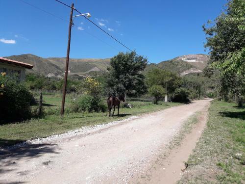 La Popelina