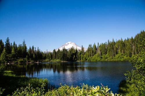 Mount Hood Village Deluxe Cabin 9