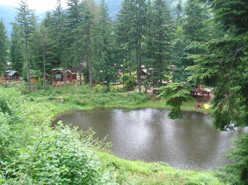 Mount Hood Village Premium Yurt 3