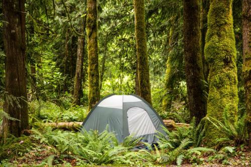 Mount Hood Village Premium Yurt 3