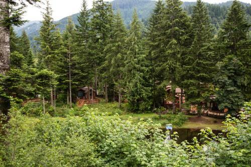 Mount Hood Village Deluxe Cabin 6
