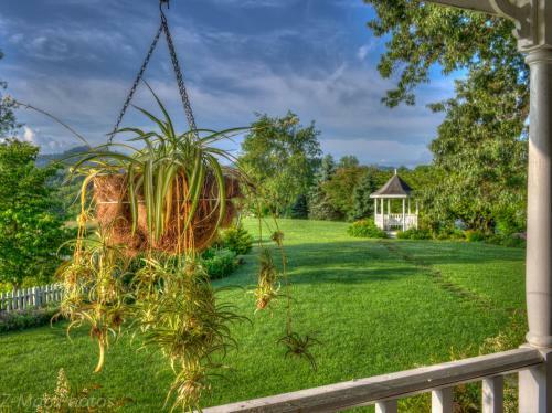 Bed & Breakfast Blue Mountain Mist